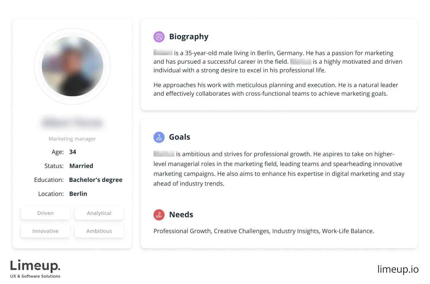 user persona example