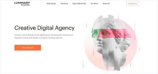 Luminary Brands marketing consulting firm 1