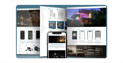 Brainvire Infotech 1