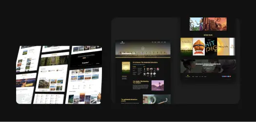 web design firm 1