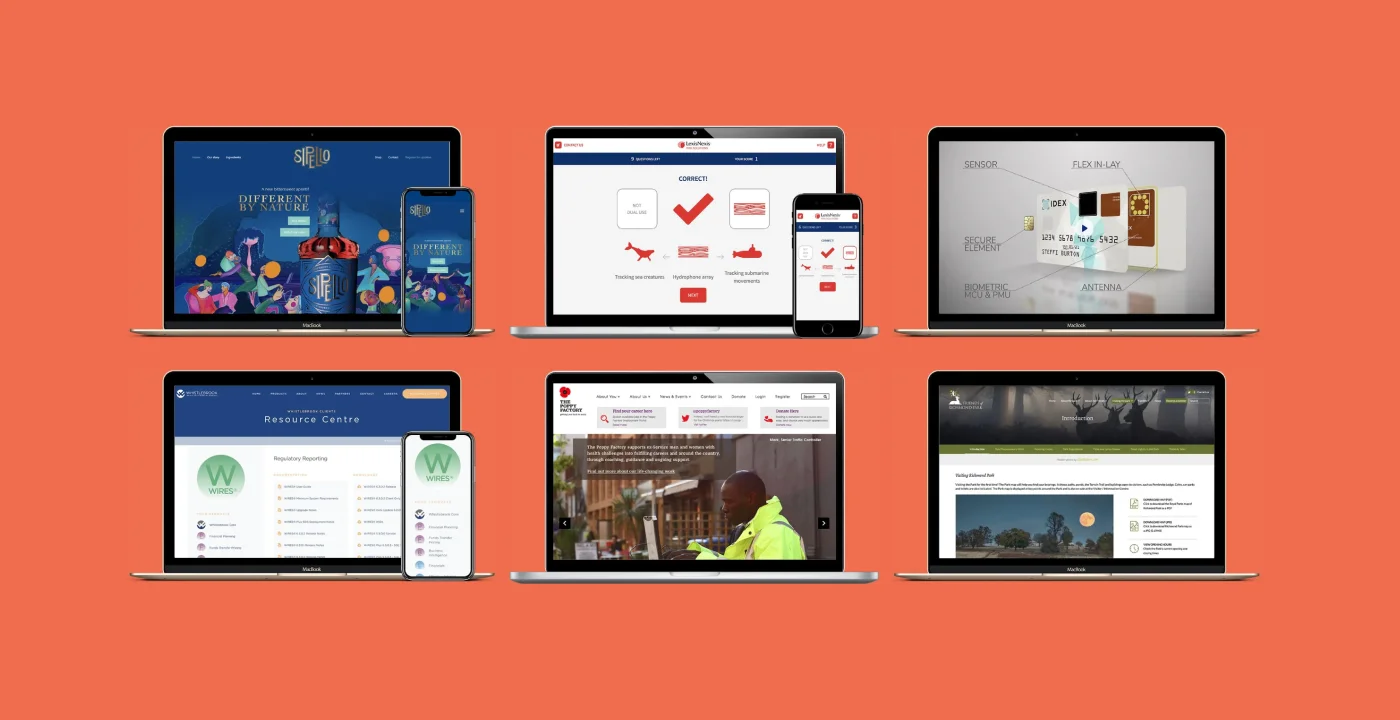 Blue Flamingo Solutions 1