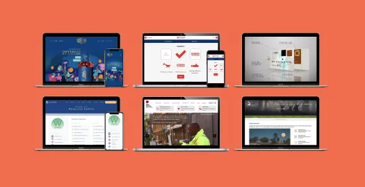 Blue Flamingo Solutions