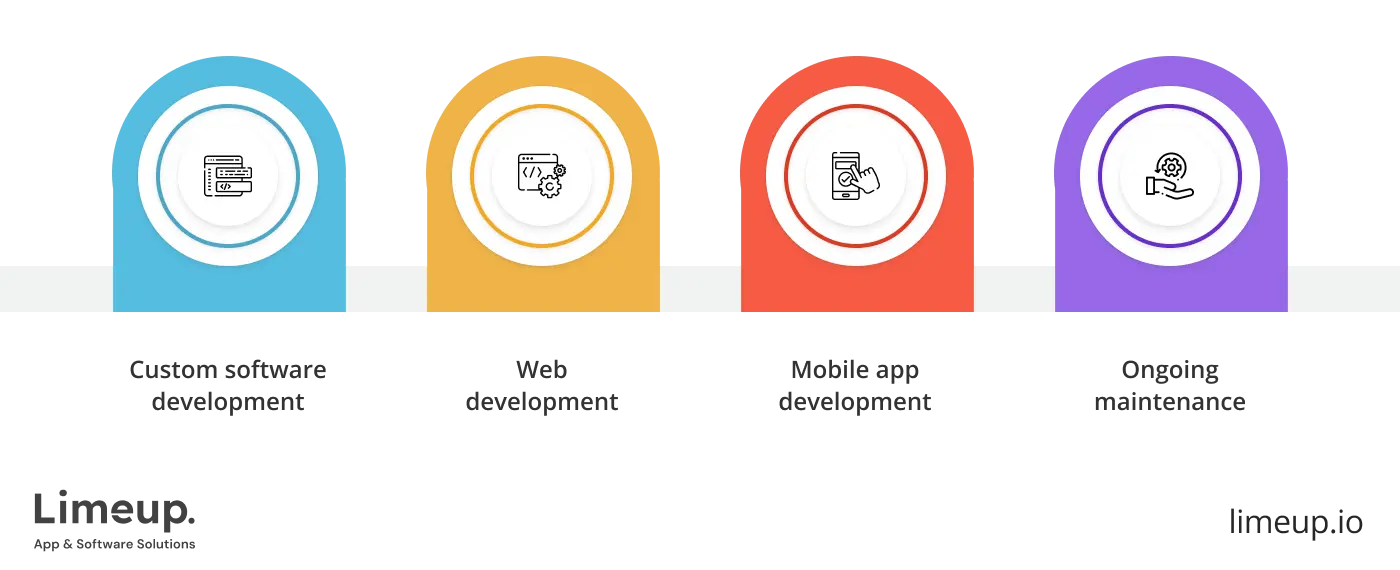 What kind of custom software development services to choose