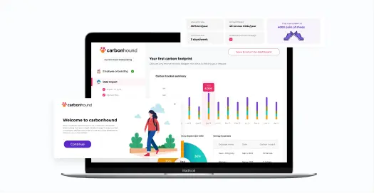 bespoke software development company 1