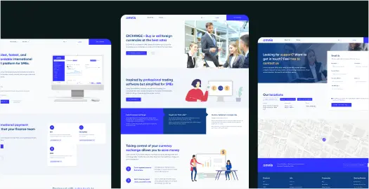 Wordpress Web Development Company 1