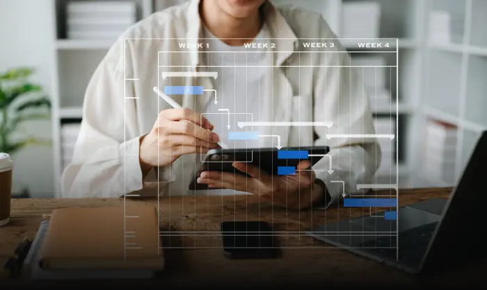 MVP development outline 2