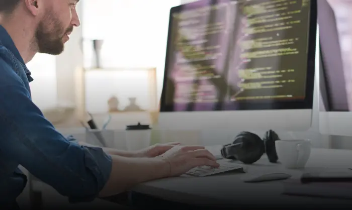 Hire WordPress Developers 2