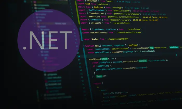 How to Hire Do Net Developers 2