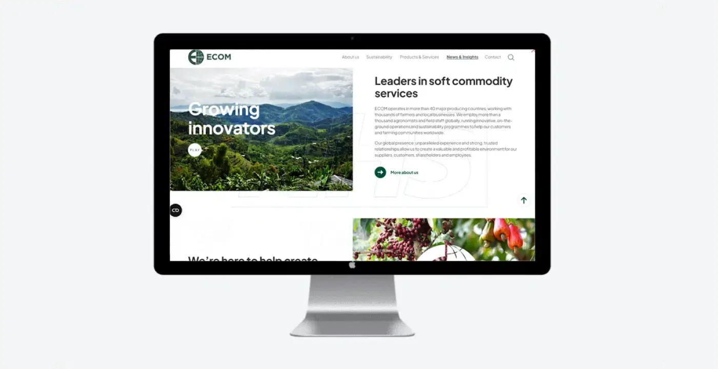 software services company