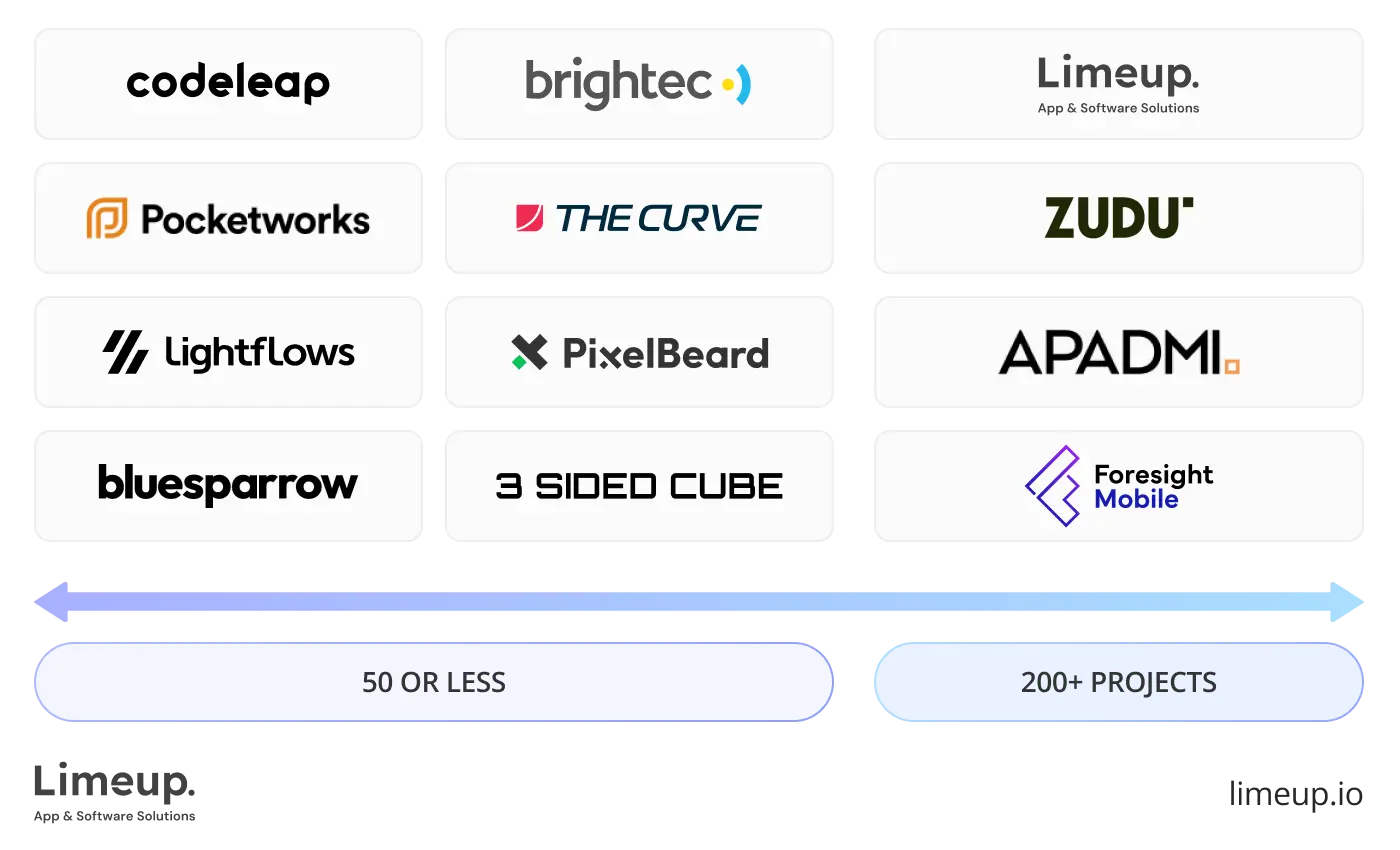 Project Portfolio Depth