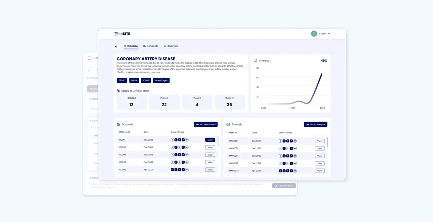 software consultancy company