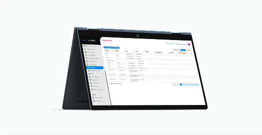 software consulting company 1
