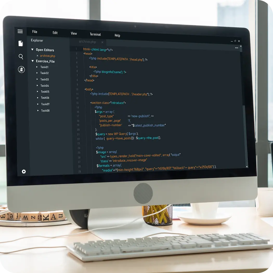 Website application development