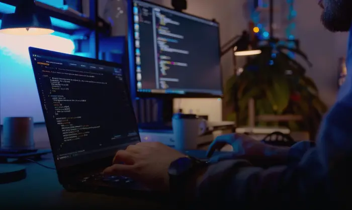 Hire Offshore Developers 2