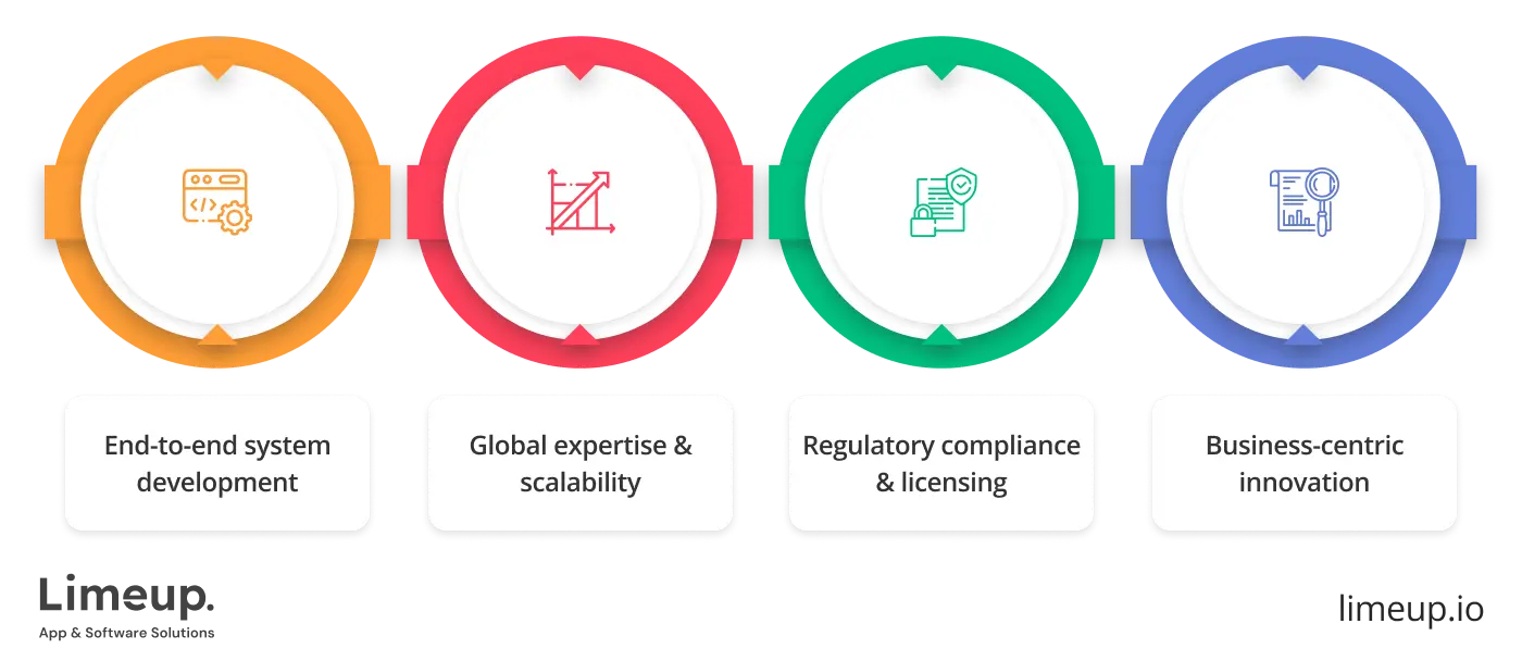 What Is Software Company