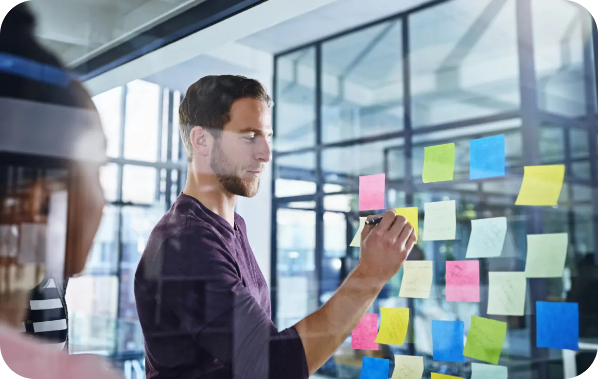 Agile Methodology Usage