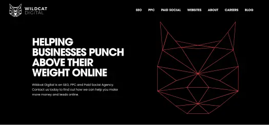 Wildcat Digital Agencies In Uk 1