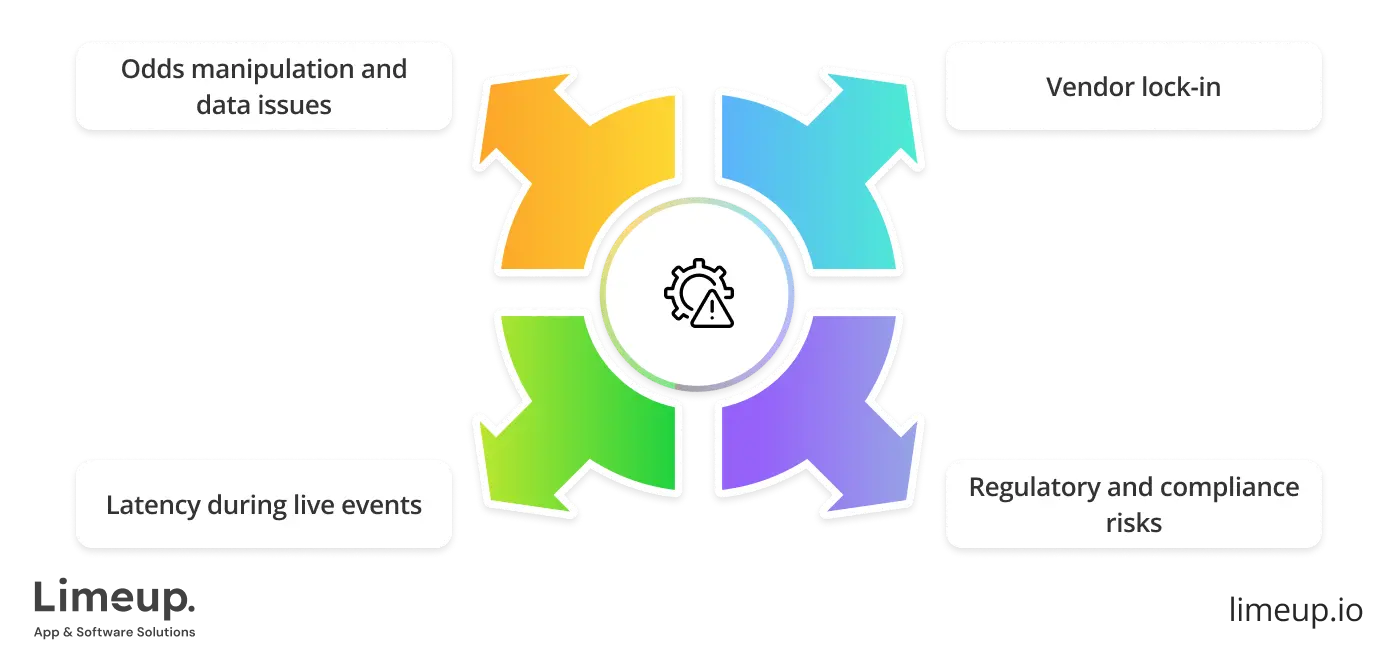 Key Risks In Choosing Sportsbook Software