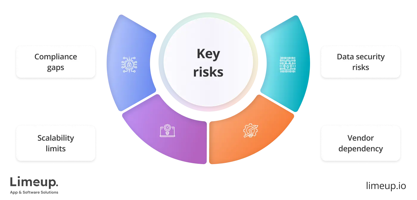 Key Risks